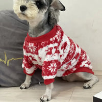 Cozy Dog Christmas Sweater – photo 4
